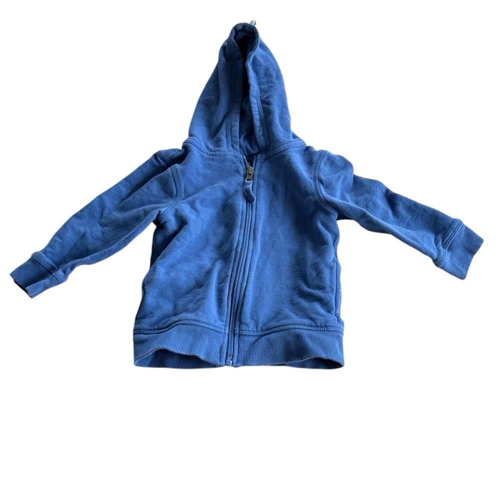 🌺Hanna Anderssen Boys Dino sweatshirt